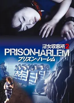 《淫女收留所2》：福利升级？还是炒冷饭？深度解析与吐槽！