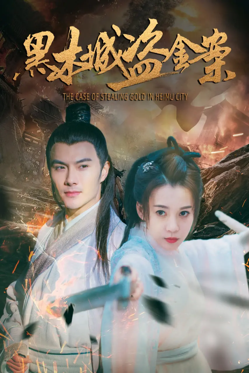 《黑木城盗金案》：迷雾重重的悬疑漩涡，谁是幕后黑手？一场金钱与人性的终极考验！